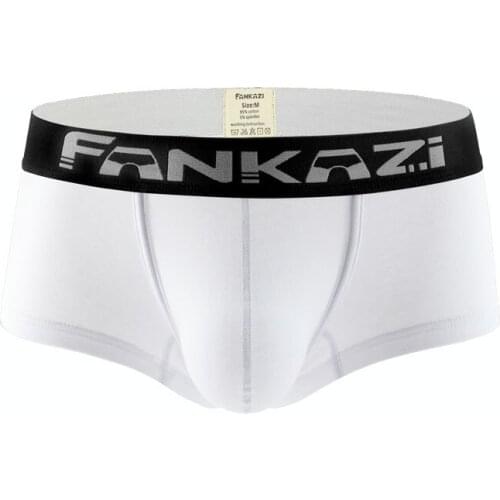 Cotton Boxers Sexy Men Underwear U Pouch Trunk Underpants Low Waist Fashion Boxer Breathable Shorts Underwear