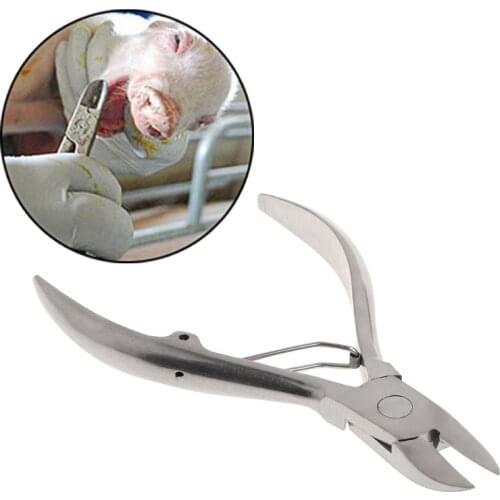 OOTDTY 3.94inch Tooth Cutting Plier Stainless Steel Scissors Elbow Sharpener Pidgets Clamp Breedign Equipment For Farm Livestock