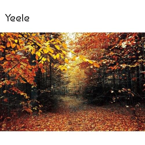 Yeele Autumn Natural Scenery Maple Trees Leaf Fallen Photography Backdrop Photographic Decoration Backgrounds For Photo Studio