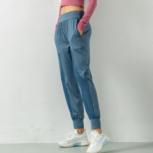 Wasteheart Autumn New Women Blue Pink Black Long Harem Pants High Waist Female Pants Casual Pockets Ankle Elastic Big Plus Size