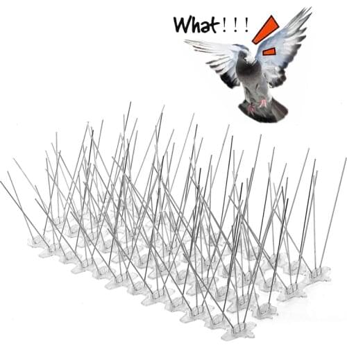 3M/5M/10M Plastic Bird and Pigeon Spikes Anti Bird Anti Pigeon Spike for Get Rid of Pigeons and Scare Birds Pest Control