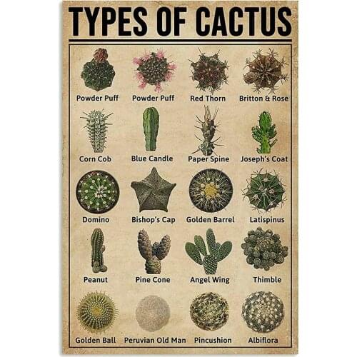 Types of Cactus Knowledge Metal Tin Sign Retro Kitchen Garden Restaurant Farm Shopping Mall Bar Cafe Man Cave Farm Wall