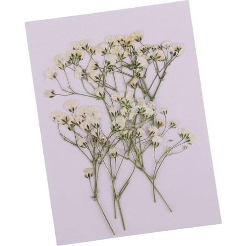10pcs Real Pressed Dried Flower Babys Breath for DIY Scrapbooking Art Crafts Card Jewelry Making Home Decor