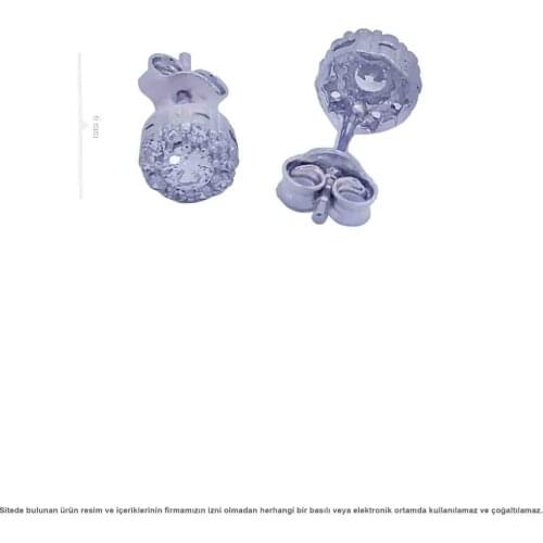 Zircon Stone Silver Women Earrings