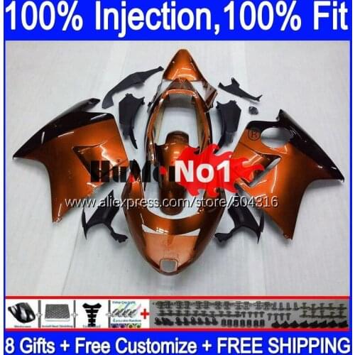 CBR1100 XX For HONDA Blackbird CBR 1100XX 96 93MC.117 CBR1100XX 2002 2003 2004 2005 2006 2007 02 03 05 06 07 Fairing New orange