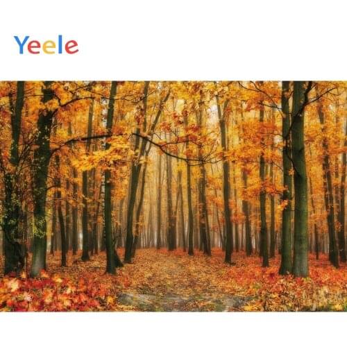 Yeele Autumn Forest Maple Leaves Tree Nature Scene Baby Photo Backgrounds Custom Vinyl Photography Backdrops For Photo Studio