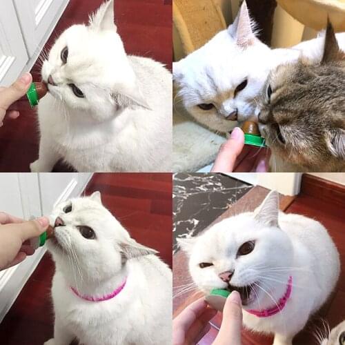 Cat Solid Nutrition Gel Healthy Snacks Catnip Ball Candy Licking Energy Toys Kittens Increase Drinking Water Help Digestion Food