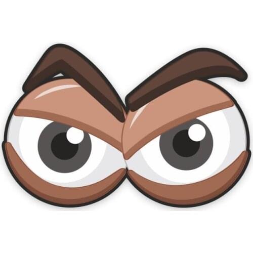 Catty Overviews Sticker Plane Extreme