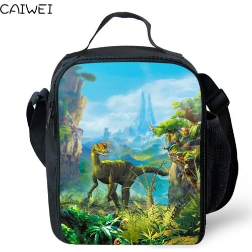 Dinosaur Picnic Bag for Children Boys Cool Insulated Lunch Container Thermal Lunch Box bag with Shoulder Straps Mens Lunch Bags