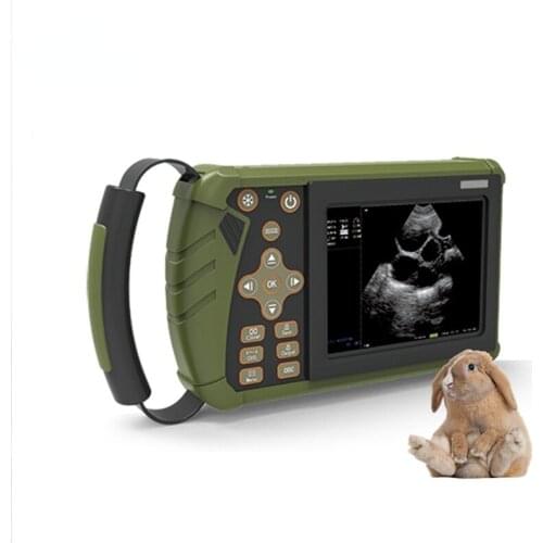 Portable ultrasound scanner vet veterinary equine ultrasound sonoscape equipment