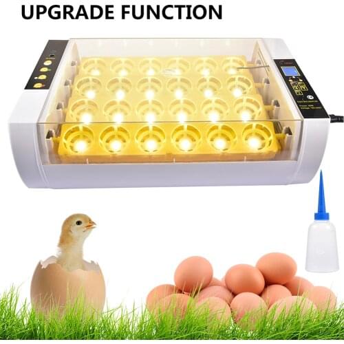 Egg Incubator Full Automatic Incubator 24PCS Duck Bird Egg Small Poultry Incubator Digital Chicken Breeding Box