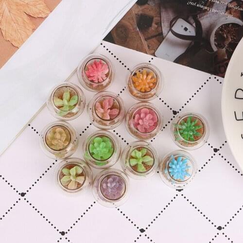 1:12 Dollhouse Miniature Glass Jar Succulent Plants In Pot Furniture Home Decor Micro Landscape Ornaments