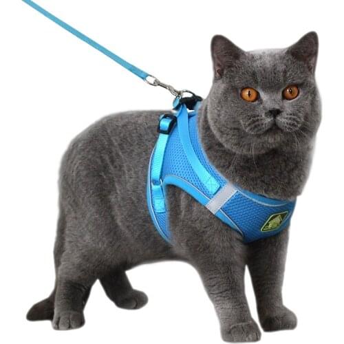 Cat Collar Mesh Cats Harness Leash Belt Collier Chat Harnais Chat kitten Collar Pet Products Adjustable Leash New
