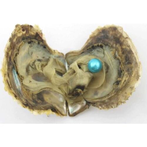 2019 Edison Oyster Pearl 9-12mm Saltwater Natural Pearl Loose Big beads Decorations Vacuum-Packaged For Gift Jewelry DIY EE2022