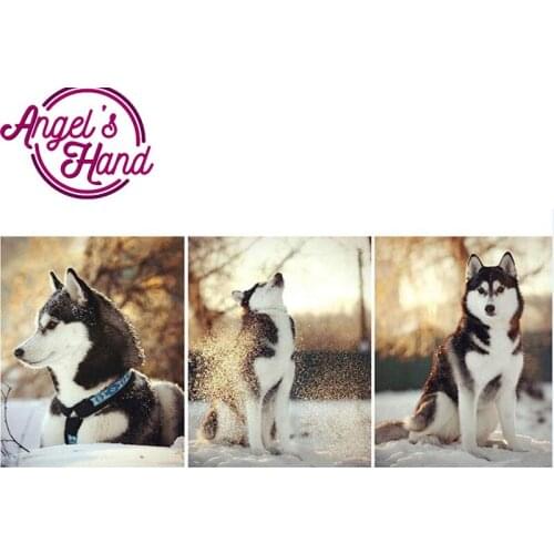 3pcs diamond embroidery Huskies dog,5d diamond painting full diamond mosaic pictures of rhinestones cross-stitch kits gift art
