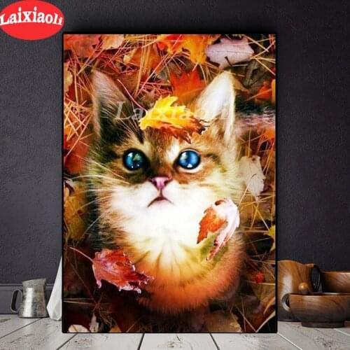 Diamond Embroidery Maple cat 5D DIY Diamond Painting Diamond Mosaic kitten needlework cross stitch sets living room decor