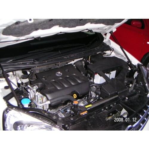 For Nissan Lafesta B30/NB30 2004-2012 Front Bonnet Hood Modify Gas Struts Carbon Fiber Spring Damper Lift Support Absorber