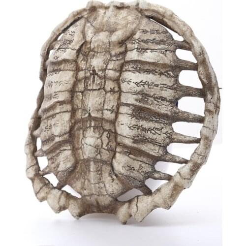 Resin wall-mounted Ancient tortoise shell carved oracle bones Interior Halloween Gifts Skull Specimen Home Decor Accessories