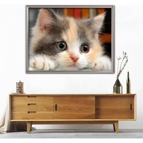 5D Diamond Painting Full Square Cat Diamond Embroidery Animal Mosaic Cross Stitch Kits Pictures Beads Art Home Decoration AZ600