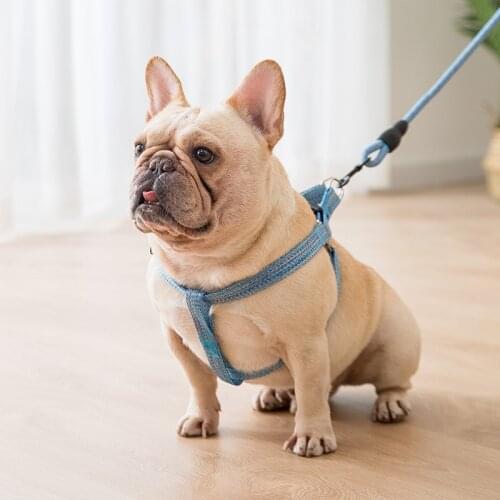 Dog Leash Dog Chain Leash Chest Harness Round Rope Chest Back Traction Rope Foam Handle Anti-Stroke Rope Chest-Back Pet Supplies