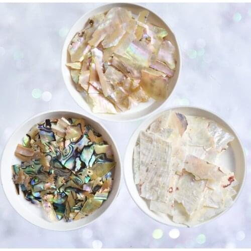 Nail Shell Abalone Irregular Fragment 3D Charm Decoration Slice Undrilled Natural Abalone Shell Thin Glitter Flake 5g /bag