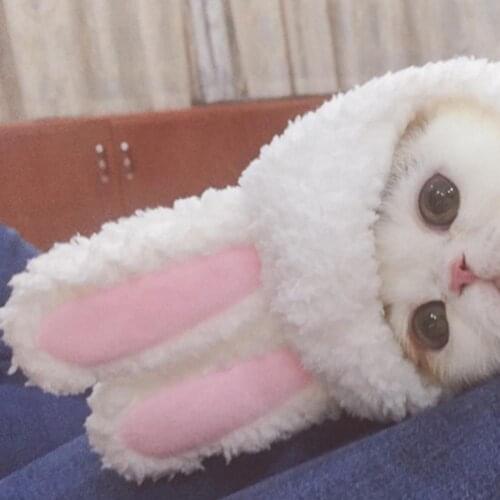 Funny Pet Dog Cat Cap Costume Warm Rabbit Hat For Role Play Christmas Cosplay Accessories Photo Props Headwear For Photographs