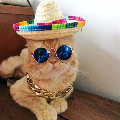 Pet Puppy Accessories For Dogs Knitted Caps Sun Glasses Necklace Jewelry Set Little Small Big Breeds Animal Chihuahua Cat Goods