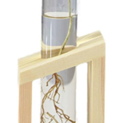 Flower Stand Glass Wood Holder Plant Creative Flower Pot Planting Vase Beautiful Economic