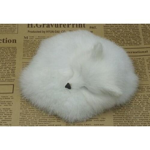 Simulation sleeping white fox polyethylene&furs fox model funny gift about 14*5CM