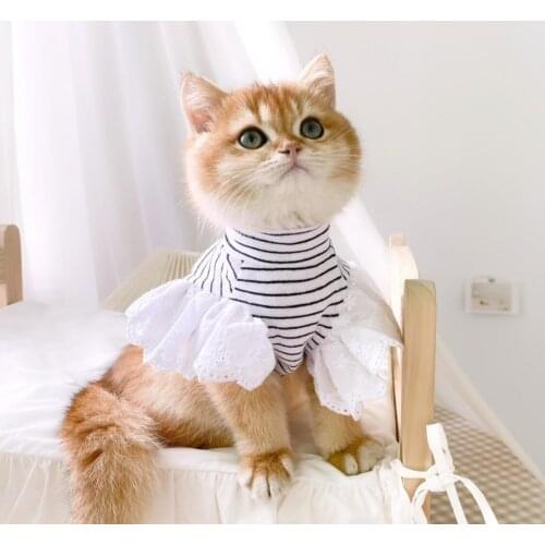 Cat Supplies Pet Supplies Dog Clothes Ins Wind Cat Clothes Cow Print Dress Small Dog Pet Skirt