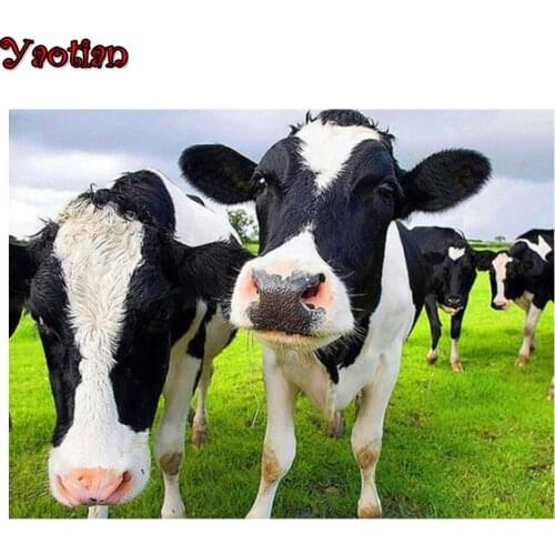 5D DIY diamond painting Animals Cow,Home decoration cross stitch full square round diamond Emeroidery Mosaic Picture By Number