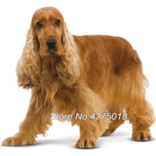 5D, DIY, Full, Diamond Painting, 3d Cross Stitch, Dog Icon, Diamond Embroidered Poodle, English Cocker Spaniel,pet,decor YG280