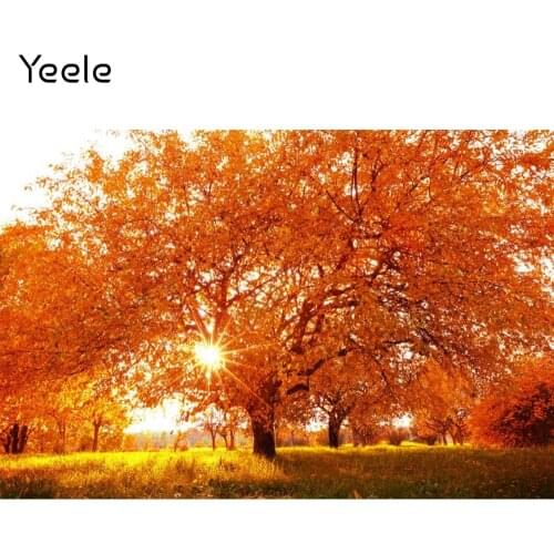Yeele Autumn Photographic Backgrounds Old Tree Maple Yellow Sunshine Scenic Photo Backdrops Photocall For Photo Studio