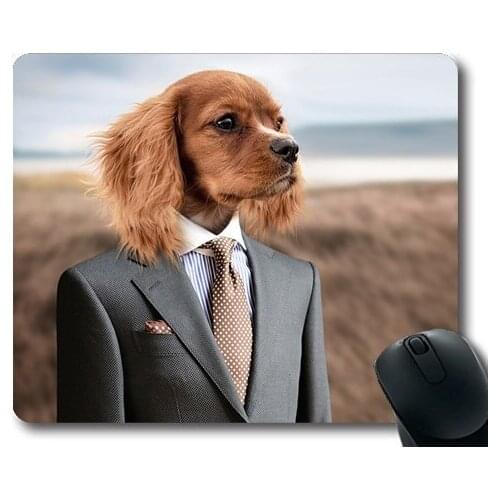 Golden retriever puppy dog,Dog Puppy Young Dog Cute Small Dog Pet,dogs mouse mat