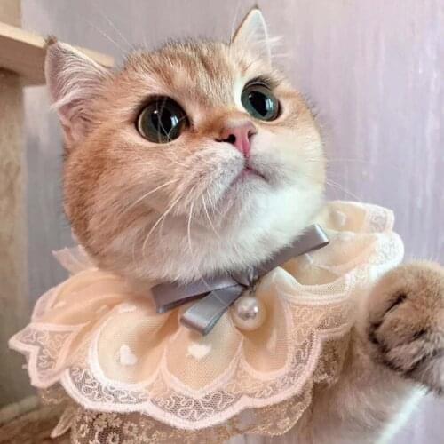 KEFIRDAY Collars For Cats