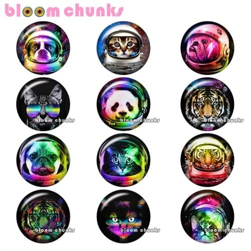 Space Round photo glass cabochon animals pilot panda dog tiger cat demo flat back Making findings 12mm/18mm/20mm/25mm A8153