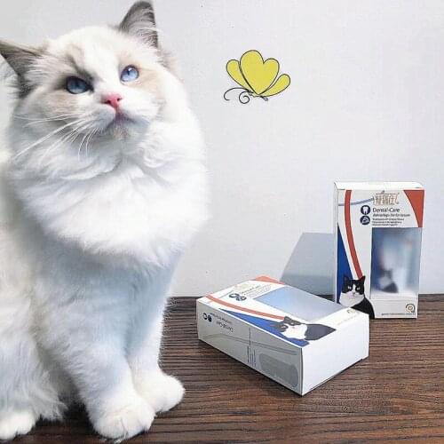 Pet Toothpaste Toothbrush Set Oral Cleaning Supplies Cat Dog Cheese Flavor Toothpaste Pet Grooming Tool