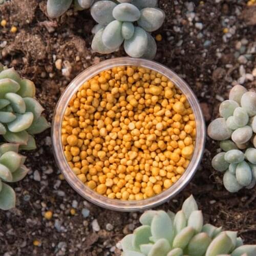 Imported 250 grams Release Fertilizer Granules Slow-release Fertilizer Suitable for Home Garden Flower Vegetable Plant