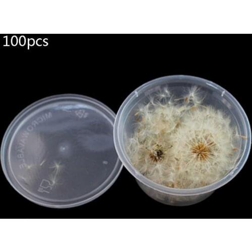100Pc Natural Dandelion Seed Small Glass Ball Fillings Resin Wish Jewelry Making