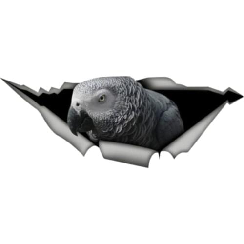 13cm x 5cm African Grey Parrot Funny Car Sticker Metal Aluminum Composite Sign KK Vinyl Car Styling Cute Pet Bird Decal