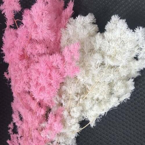 Length:35-43CM/About 65-70g Natural dried flowers ,Preserved Flowers Penglai Pine,Eternelle Plant Asparagus Myriocladus Bouquet