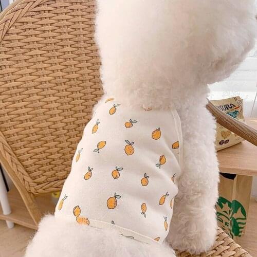 Pet Dog Clothing Summer Cat Skirt Dress Puppy Outfit Yorkshire Terrier Pomeranian Shih Tzu Costume Dog Clothes Dresses Apparel