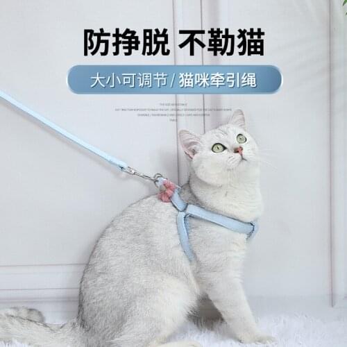 Cat traction rope anti-break away cat rope cat traction pet cat walking cat rope vest cat chain for kittens