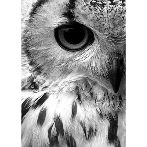 Tiger Lion Wolf Owl DIY 11CT Embroidery Cross Stitch Kits Craft Needlework Set Printed Canvas Cotton Thread Home Wholesale