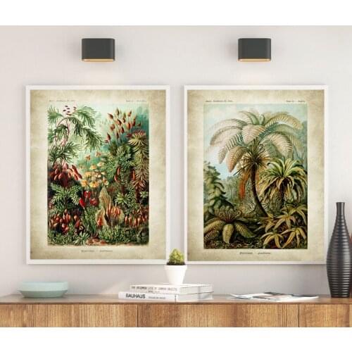 Vintage Ernst Haeckel Biology Poster Hummingbird Palm Tree Botanical Art Prints Plant Canvas Painting Office Home Wall Art Decor