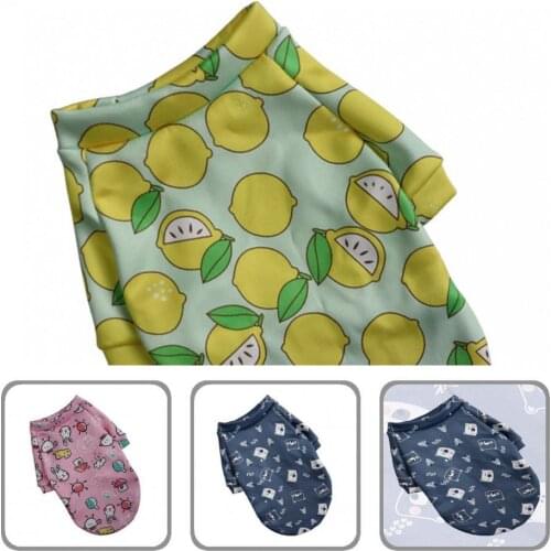 Breathable Stylish Pet Dogs Sweater Costume Two-leg Pet Costume Cartoon Pattern Pet Supplies