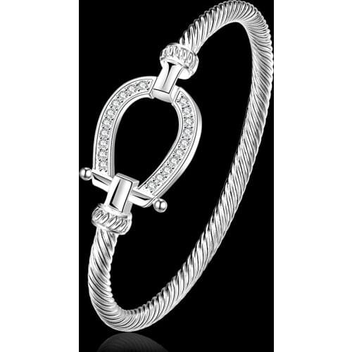 Cxwind Fashion Horse Shoe Bracelets Bangles Smooth Twisted Wire Crystal Bracelet Germanium Accessories For Women Bangle