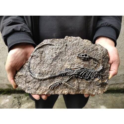 VINTAGE and nostalgic dinosaur fossil ornaments handicraft
