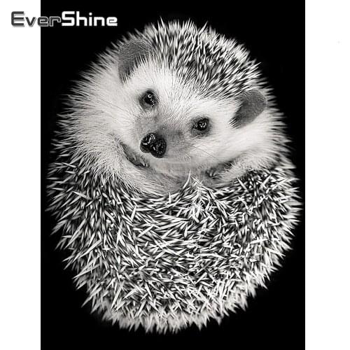 EverShine Black White 5D Diamond Painting Hedgehog Cross Stitch Diamond Embroidery Animals Rhinestones Art Gift Home Decor