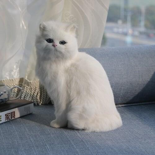 Realistic Cute Simulation Stuffed Plush White Persian Cats Toys Cat Dolls Table Decor Kids Boys Christmas GiftPhotography props